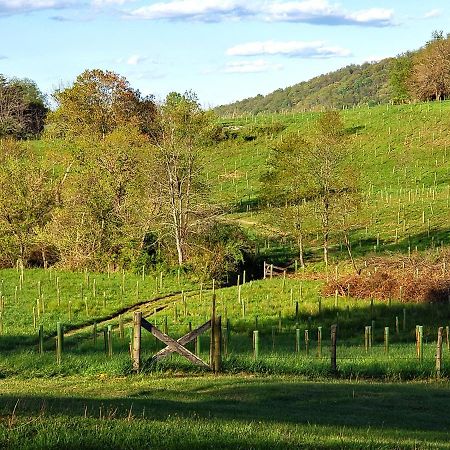 Vila Walnut Run Farm Woodville Exteriér fotografie