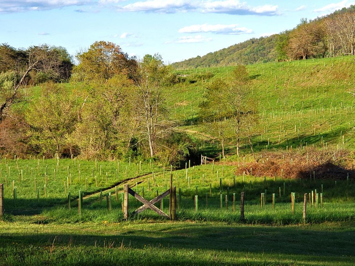 Vila Walnut Run Farm Woodville Exteriér fotografie